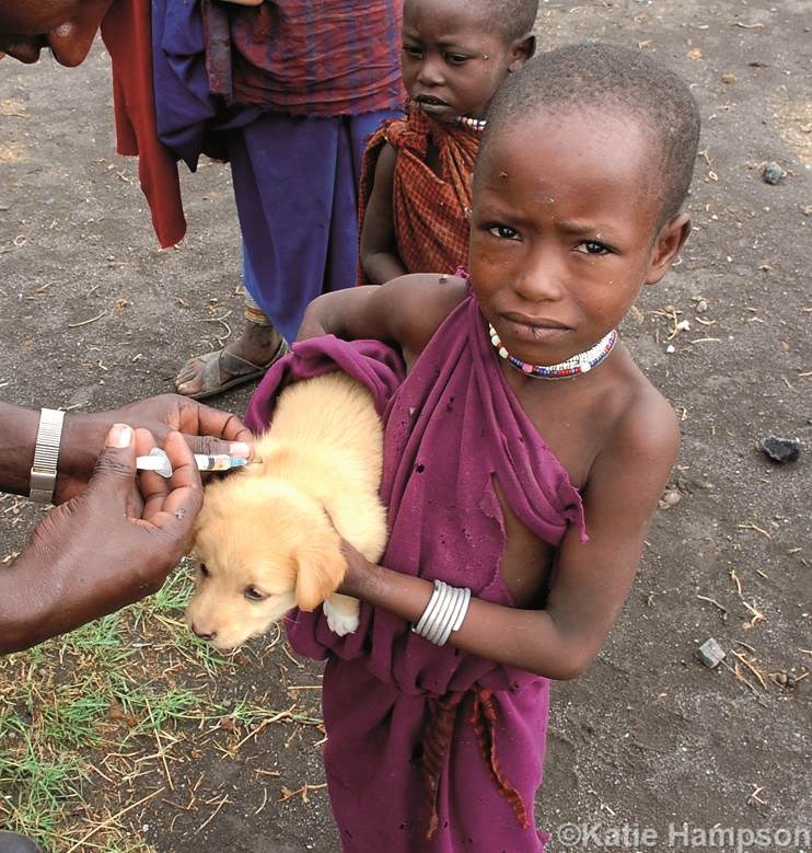 No more deaths from rabies - WOAH - World Organisation for Animal Health