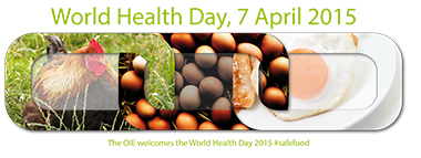 World Health Day 2015
