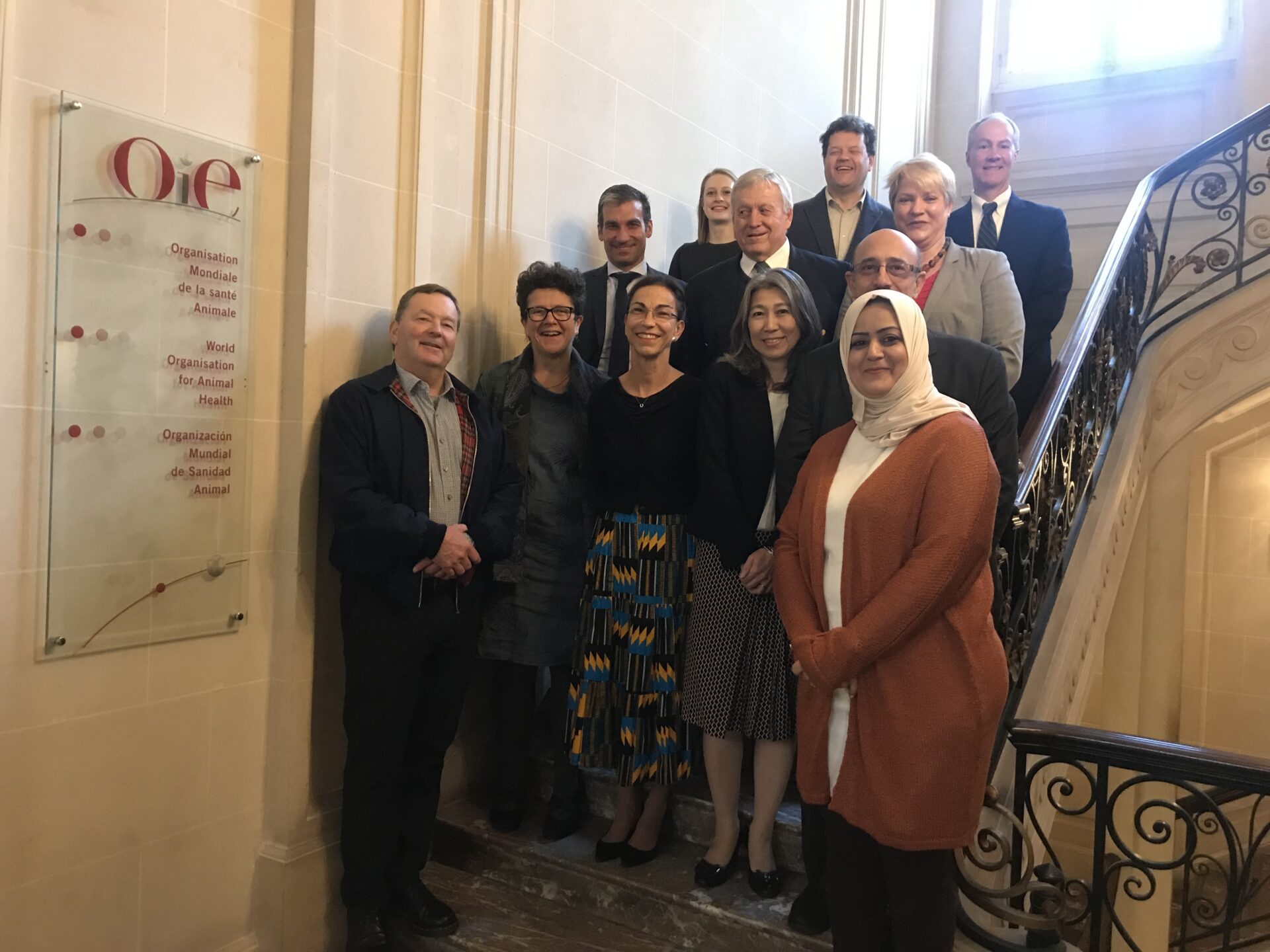 The OIE Working Group on Antimicrobial Resistance:Providing guidance and  establishing priorities during its first year - WOAH - World Organisation  for Animal Health