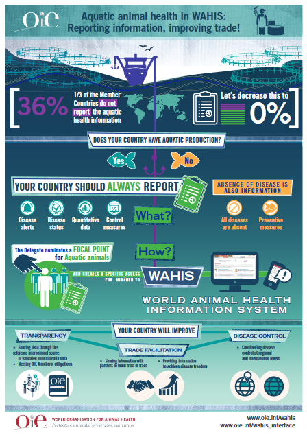 Aquatic animals - WOAH - World Organisation for Animal Health