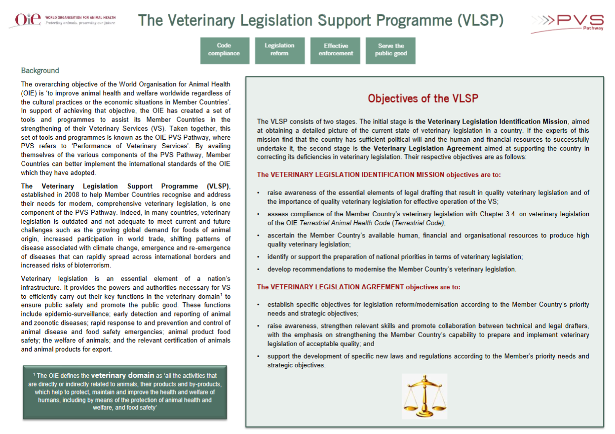 VLSP overview