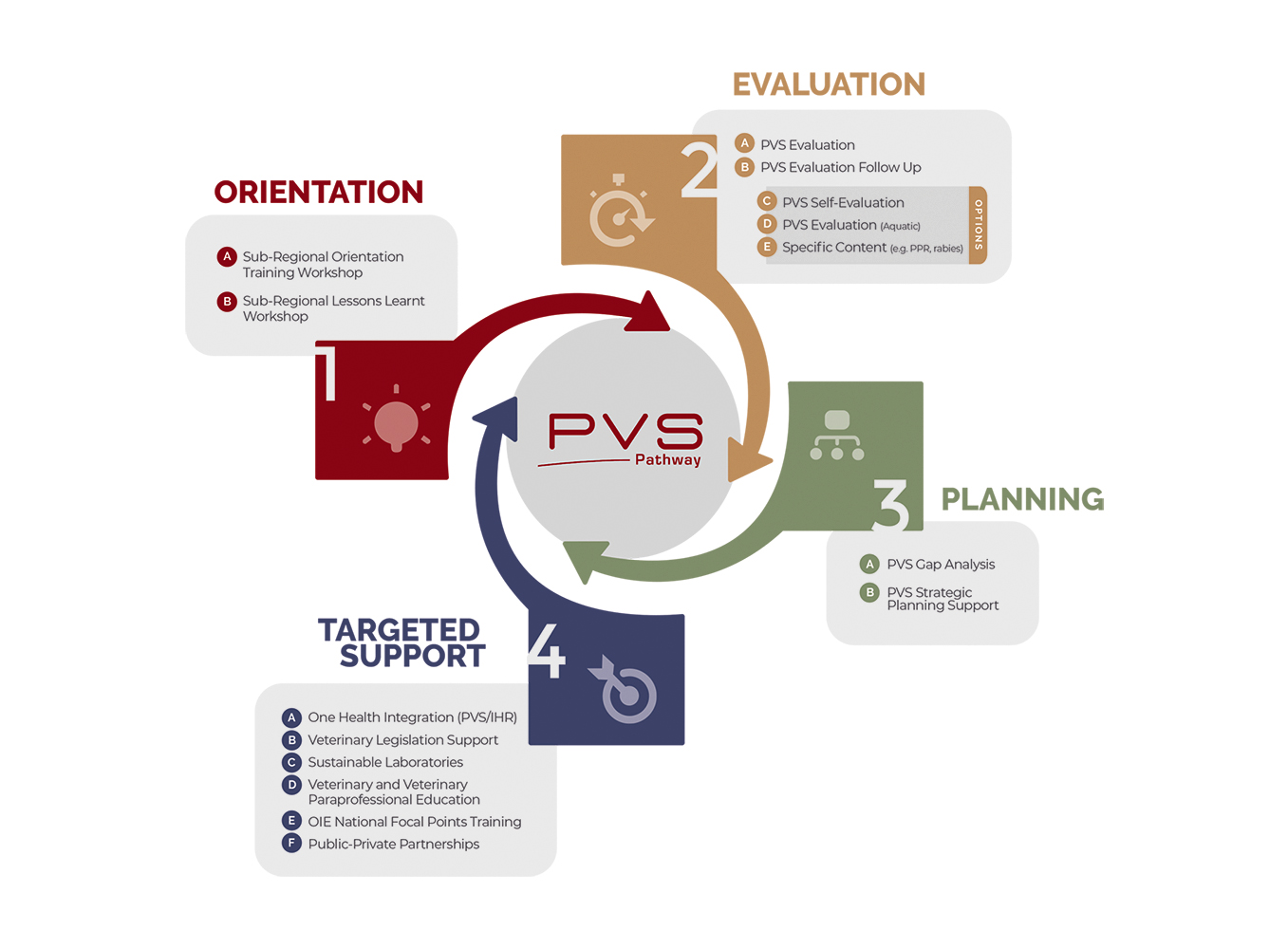 The four stages of the PVS Pathway Cycle