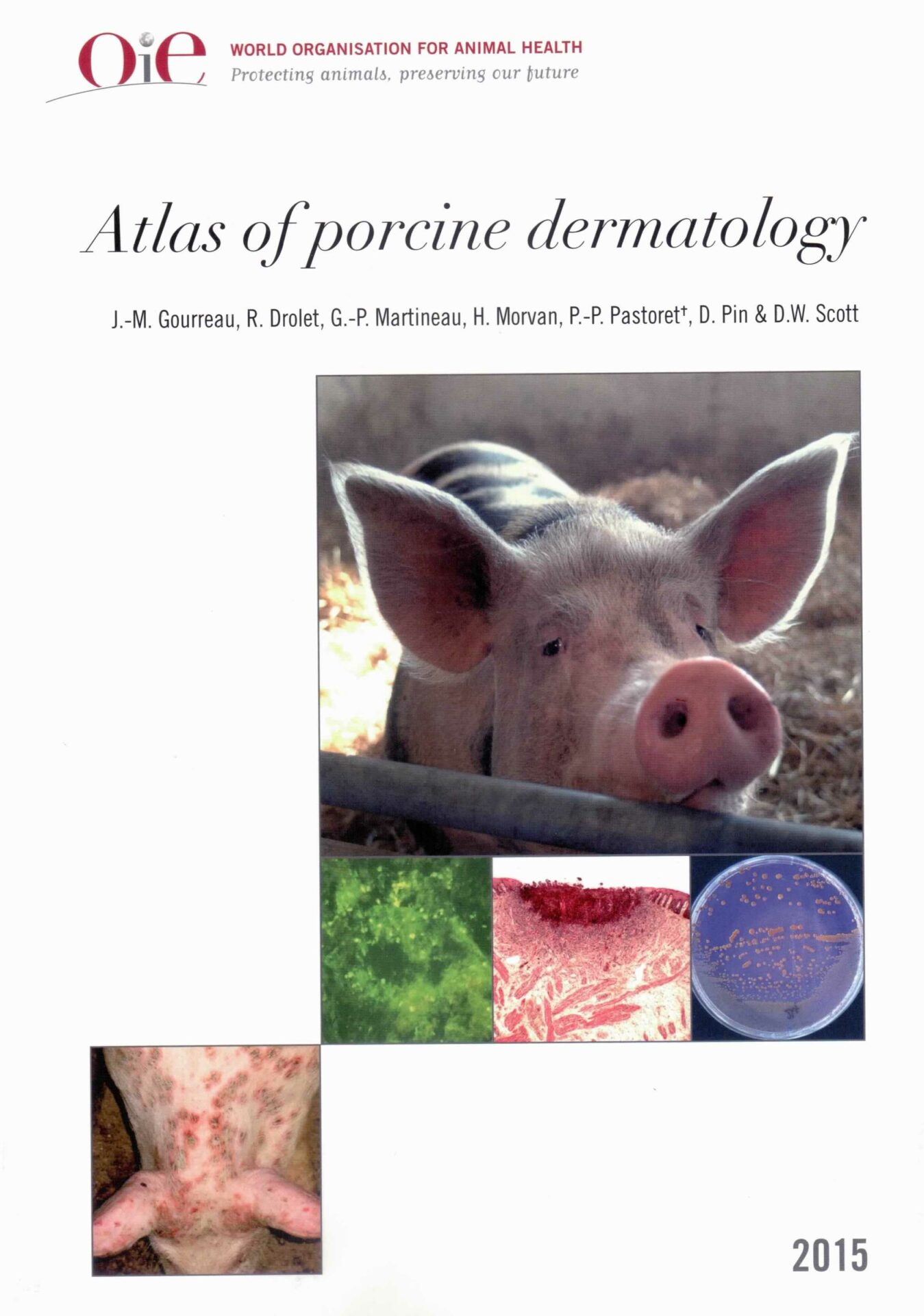 Atlas of porcine dermatology