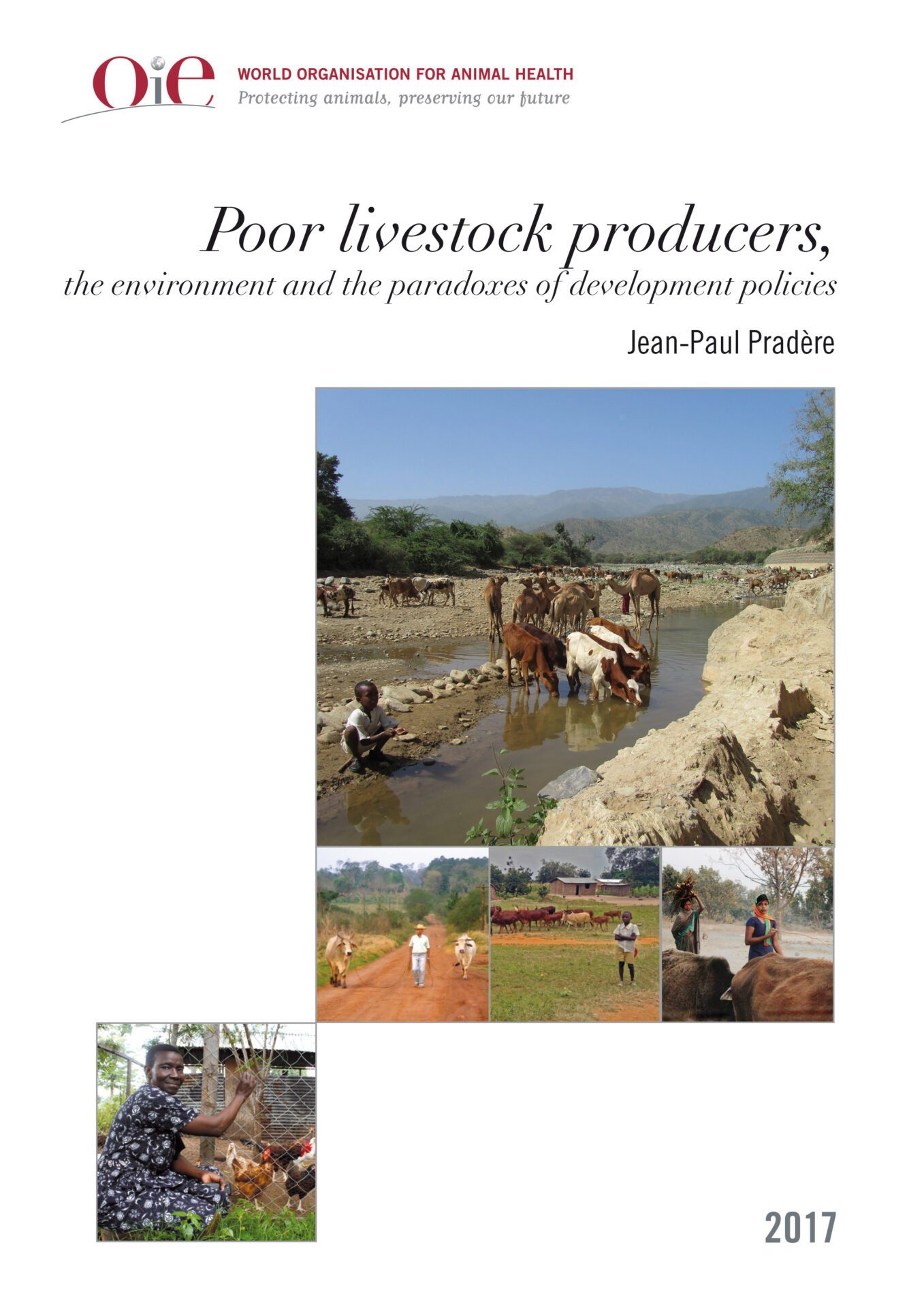 Poor livestock producers, the environment and the paradoxes of development policies