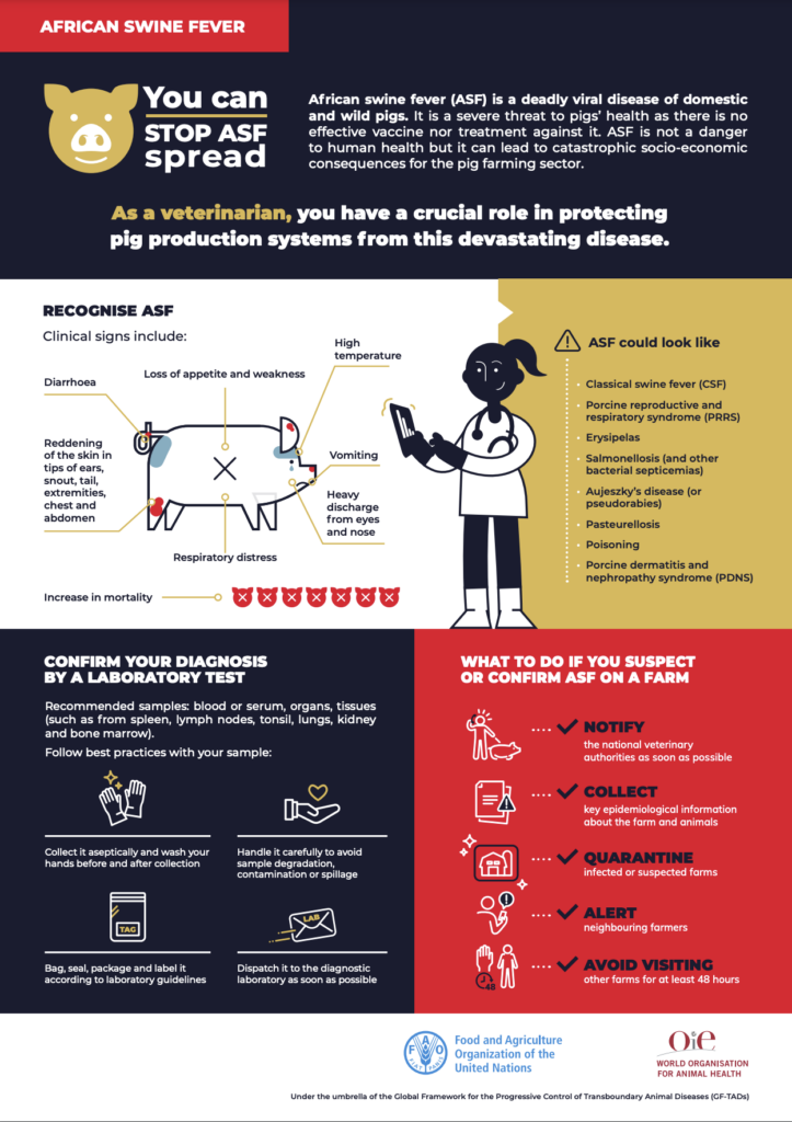 Infographic Veterinarians ASF