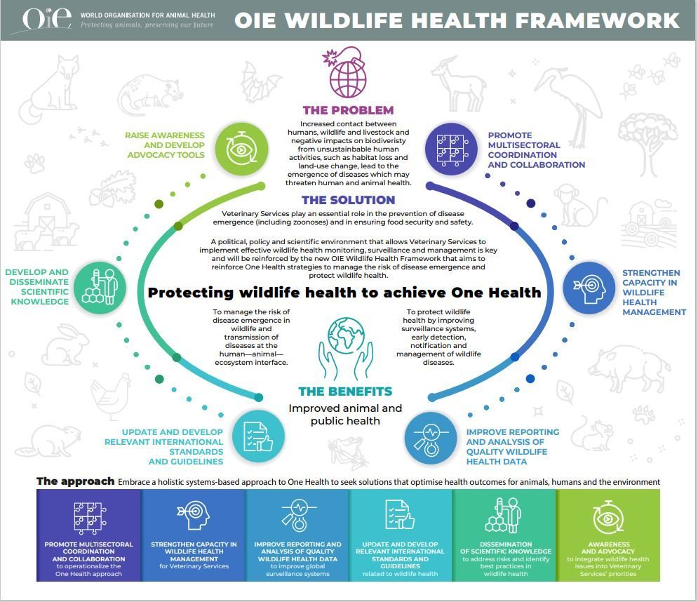 Wildlife Health - WOAH - World Organisation for Animal Health