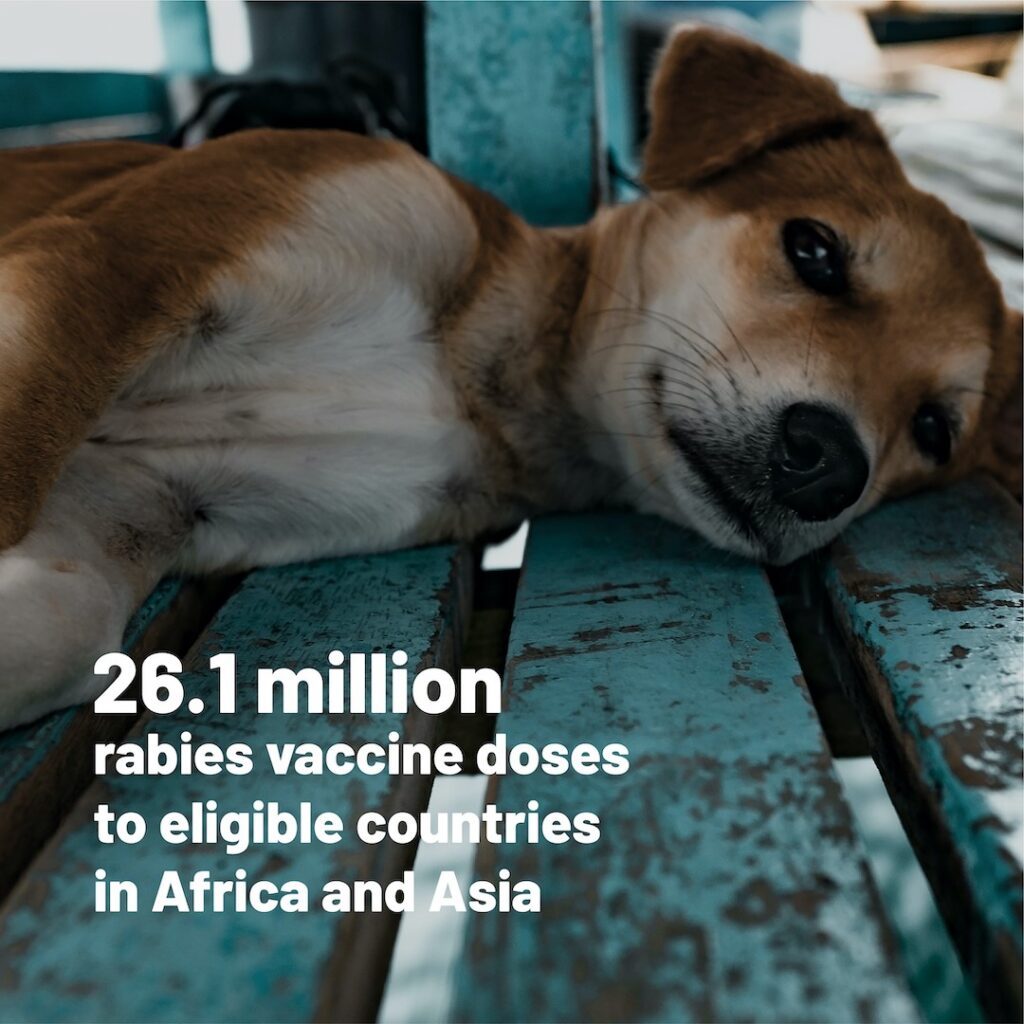 Quality rabies vaccines in Africa and Asia