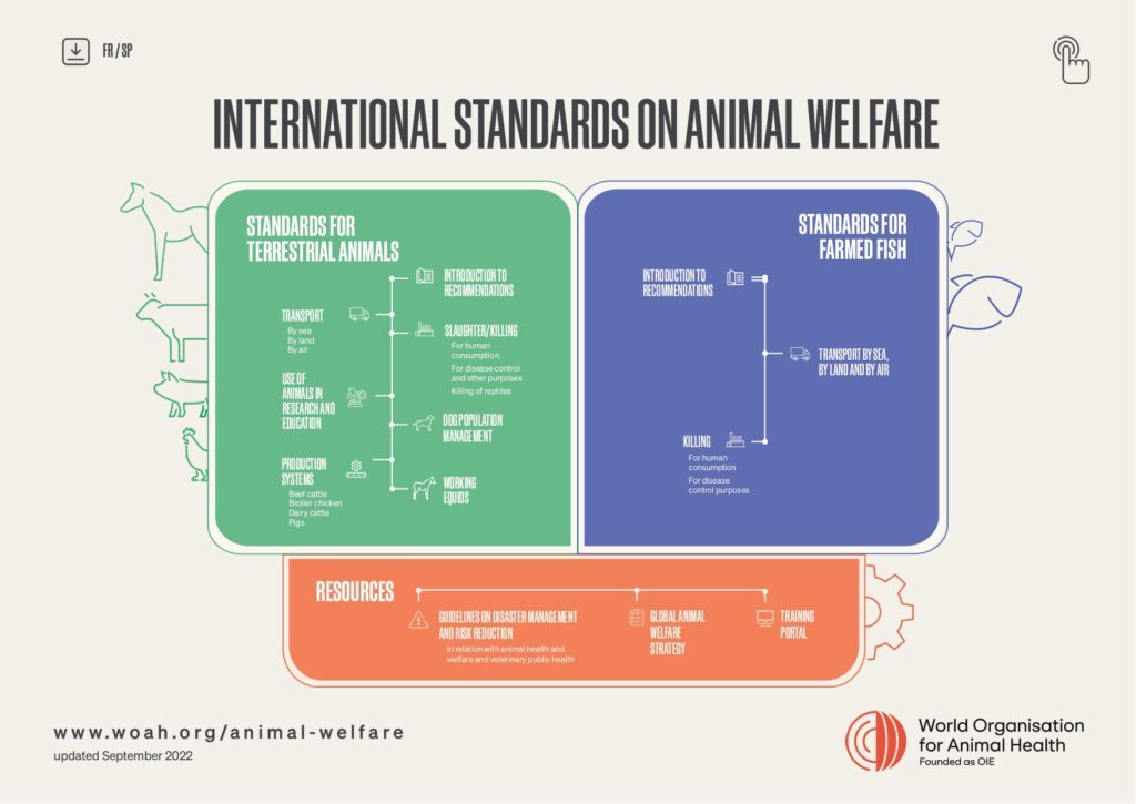 Development of Animal Welfare Standards - WOAH - World Organisation for  Animal Health