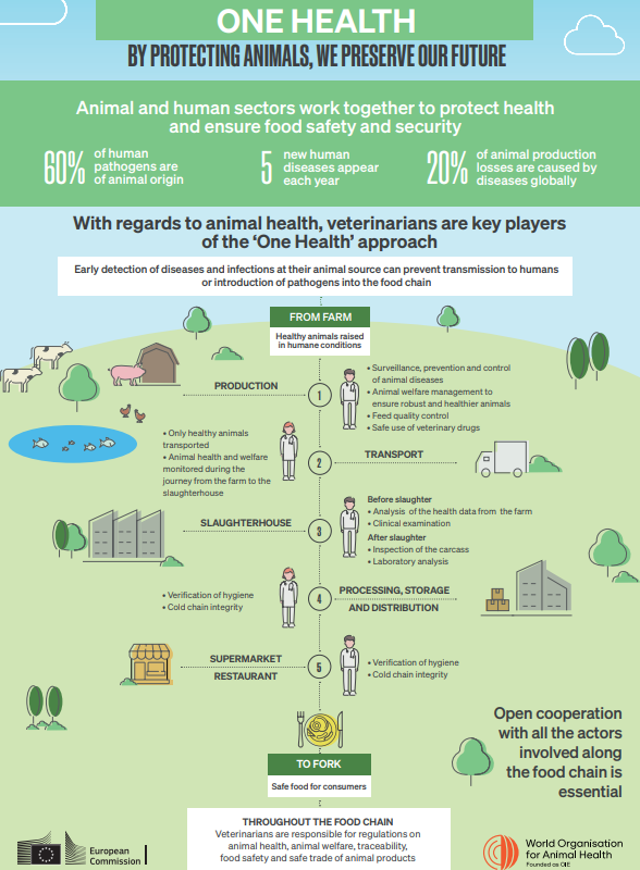 Infographic_One Health