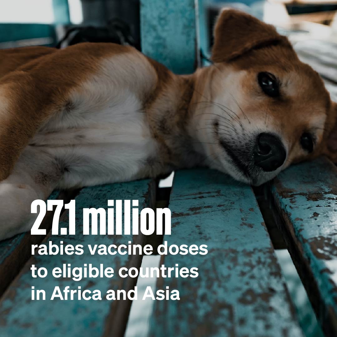 visual illustration_number of rabies vaccine delivered to eligible countries in Africa and Asia