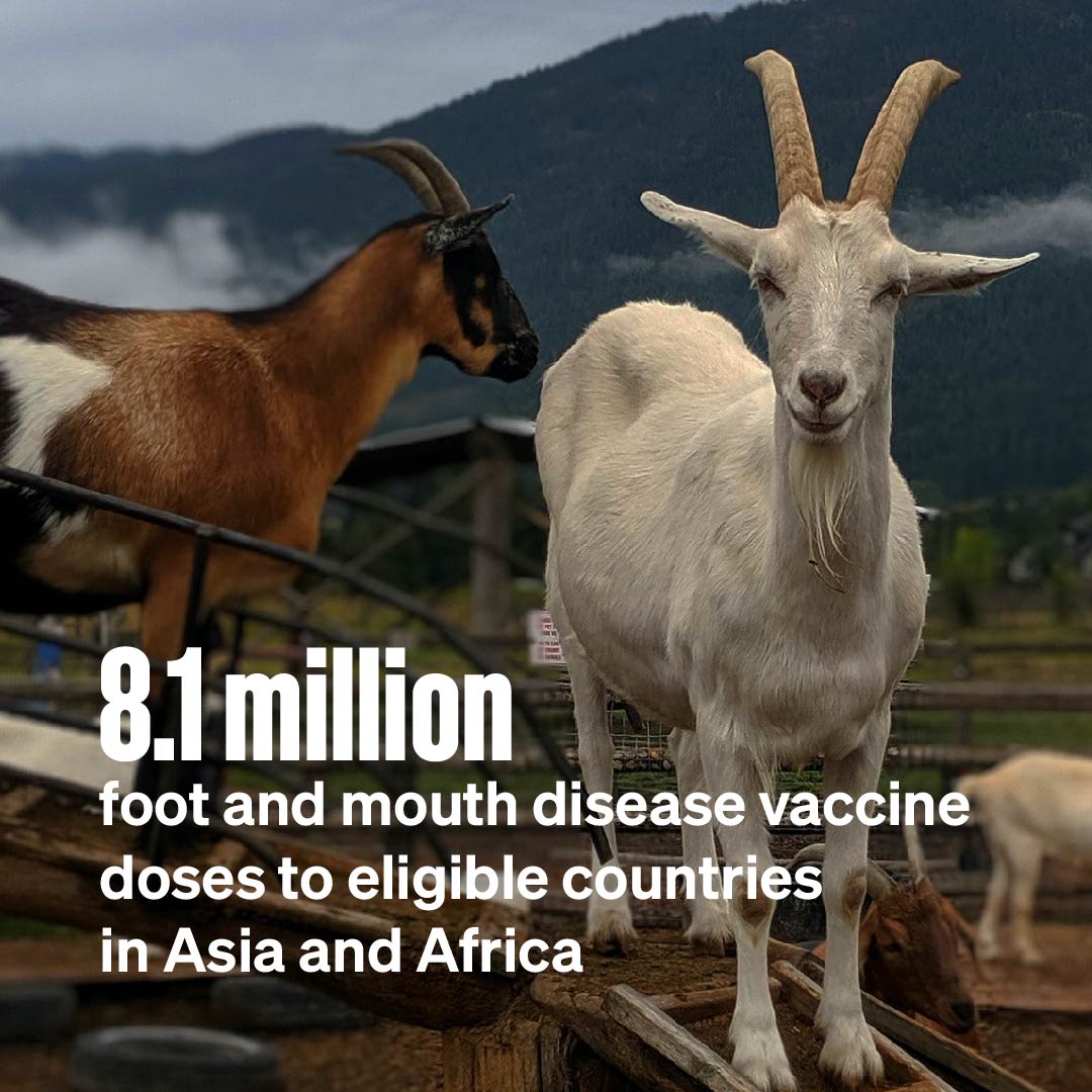 visual illustration_number of FMD vaccine doses delivered to eligible countries in Africa and Asia