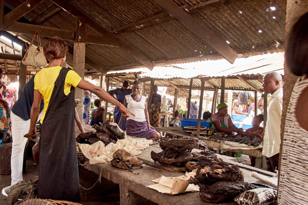 In Mbandaka, a woman sells bushmeat in the market square to local families. To inform populations on the dangers of such practices, WOAH’s EBO-SURSY Project includes radio programming on hunters selling animals that have died from unknown causes or diseases.