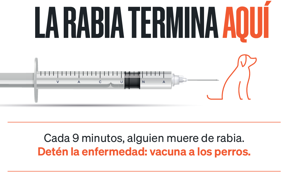 La rabia_vacunas veterinarias