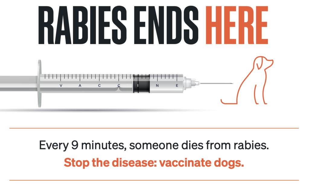 Veterinary vaccines_rabies and ppr.