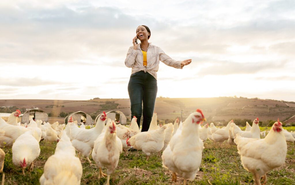WOAH 100th_Happy African woman on the phone, managing a chicken farming business