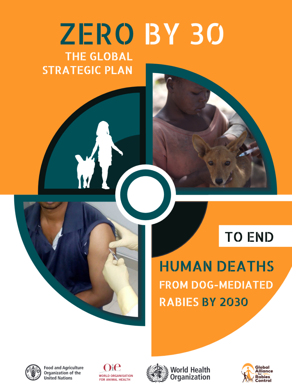 Rabies eradication global strategy