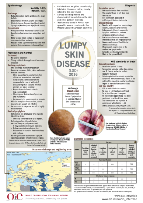 Lumpy Skin disease
