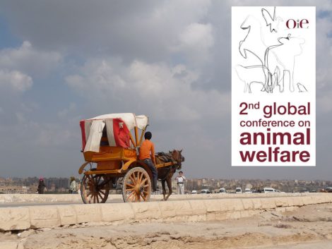 2nd Global Conference on Animal Welfare