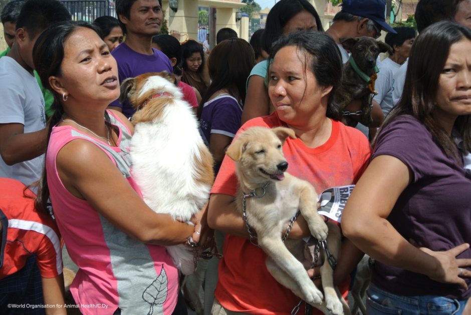 Philippines: Collaboration is critical in navigating the rabies minefield -  WOAH - World Organisation for Animal Health