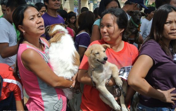 Rabies cases reduced in Philippines
