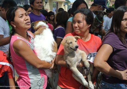 Rabies cases reduced in Philippines