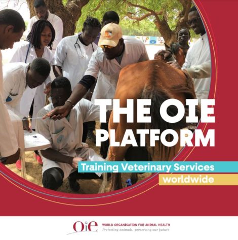 The OIE Platform- training veterinary services worlwide