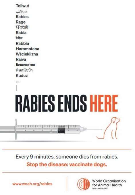 Rabies Ends Here poster