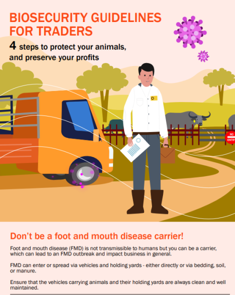 A visual graphic of biosecurity guidelines for traders_FMD
