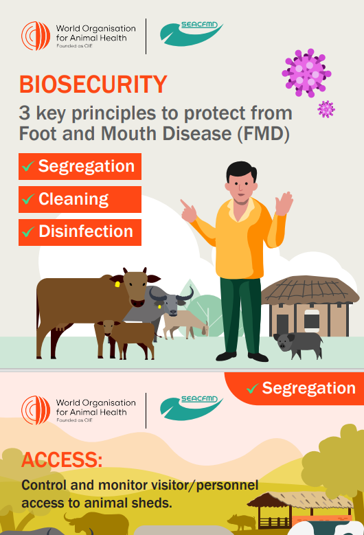 Key biosecurity principles to protect from Foot and Mouth disease