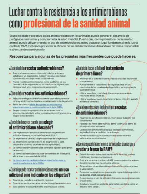 Luchar contra la resistencia a los antimicrobianos como profesional de la sanidad animal