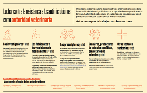 Leaflet_Luchar contra la resistencia a los antimicrobianos como autoridad veterinaria