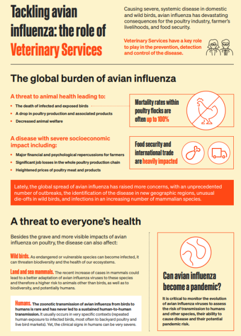 Avian Influenza factsheet WOAH