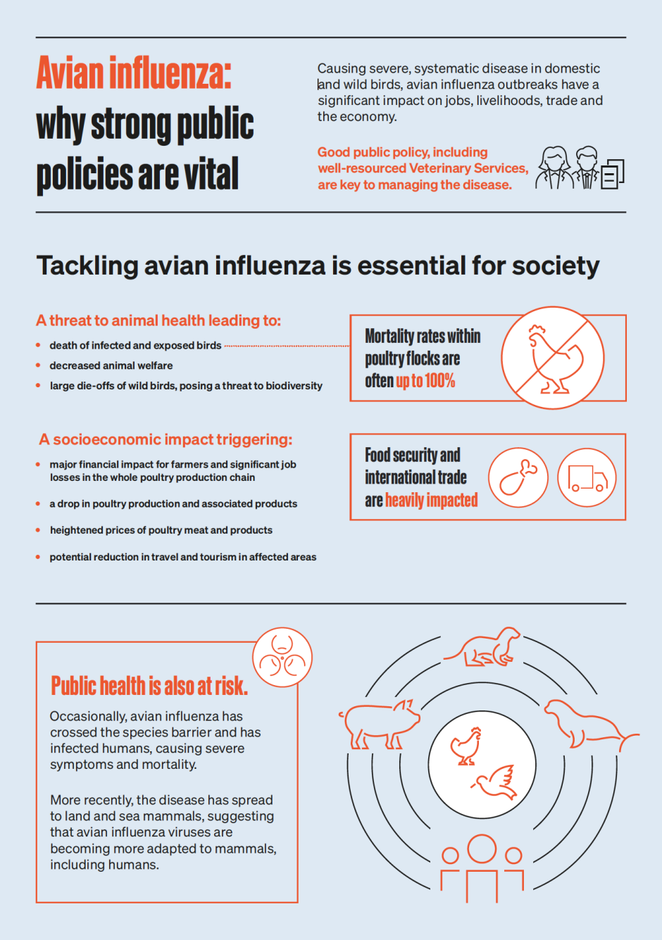 Avian influenza: why strong public policies are vital factsheet