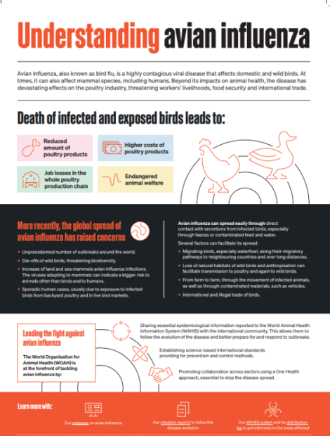 Understanding avian flu_public