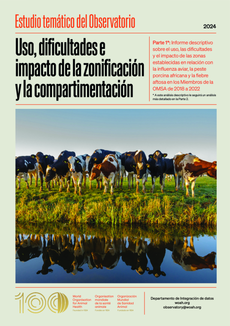 Report cover in Spanish