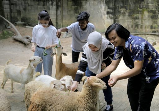 WOAH 100th_group of young people happily feeding sheep
