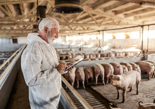 animal health information