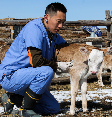 animal health state