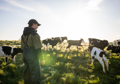zoning animal health WOAH Observatory_farmer in an open field observing his cattle