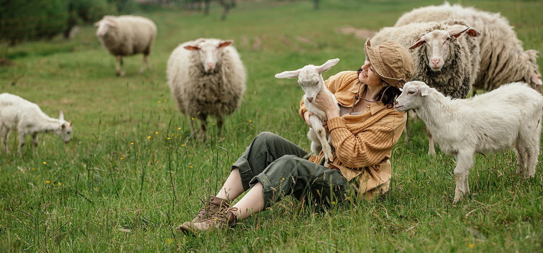 Animals and US_A BBC Series