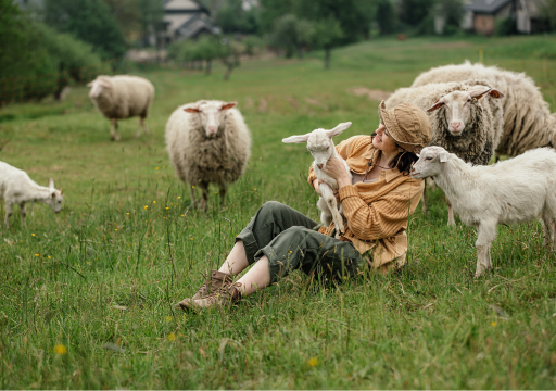 Animals and US_A BBC Series
