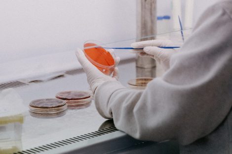 AMR Awareness Week 2025