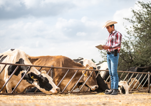 spread of new screwworm americas_mexican farmer observing cattle
