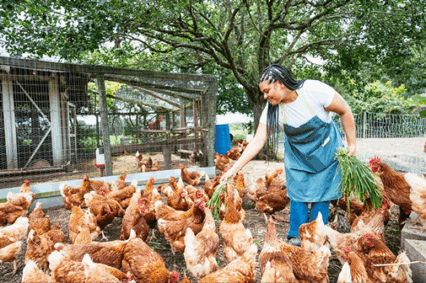 Latina woman feeding her chickens_Investing in animal health_WOAH 93 General Session