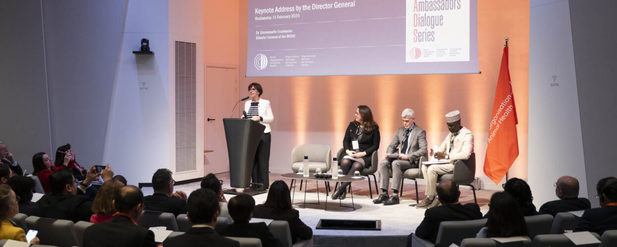 Ambassadors dialogue series_DG WOAH, Emmanuelle Soubeyran addressing diplomats